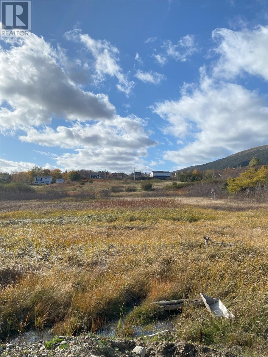 123 Main Street, York Harbour, NL