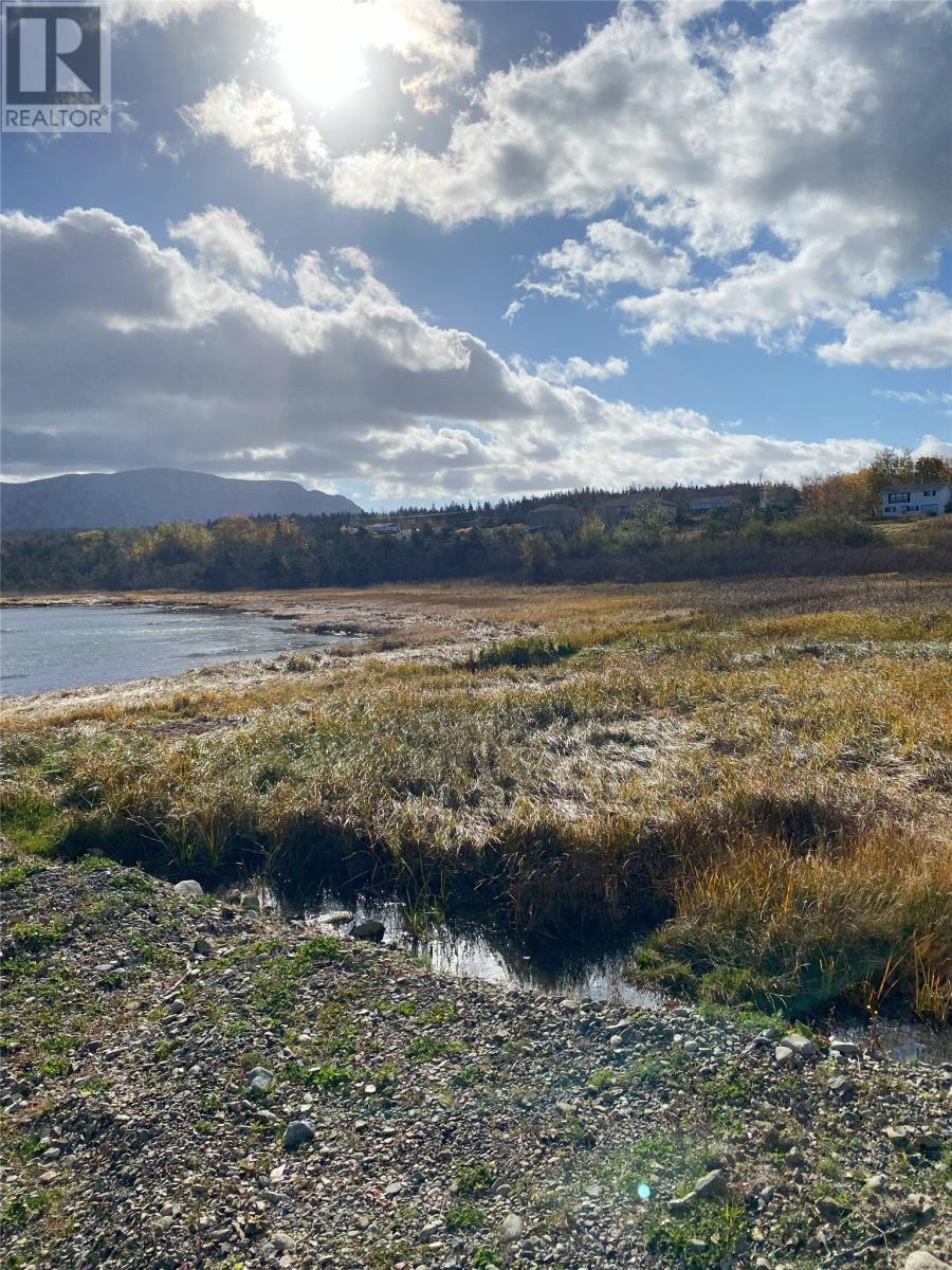 123 Main Street, York Harbour, NL