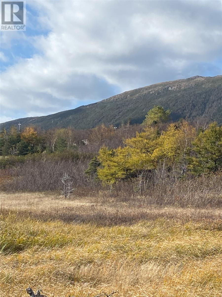 123 Main Street, York Harbour, NL