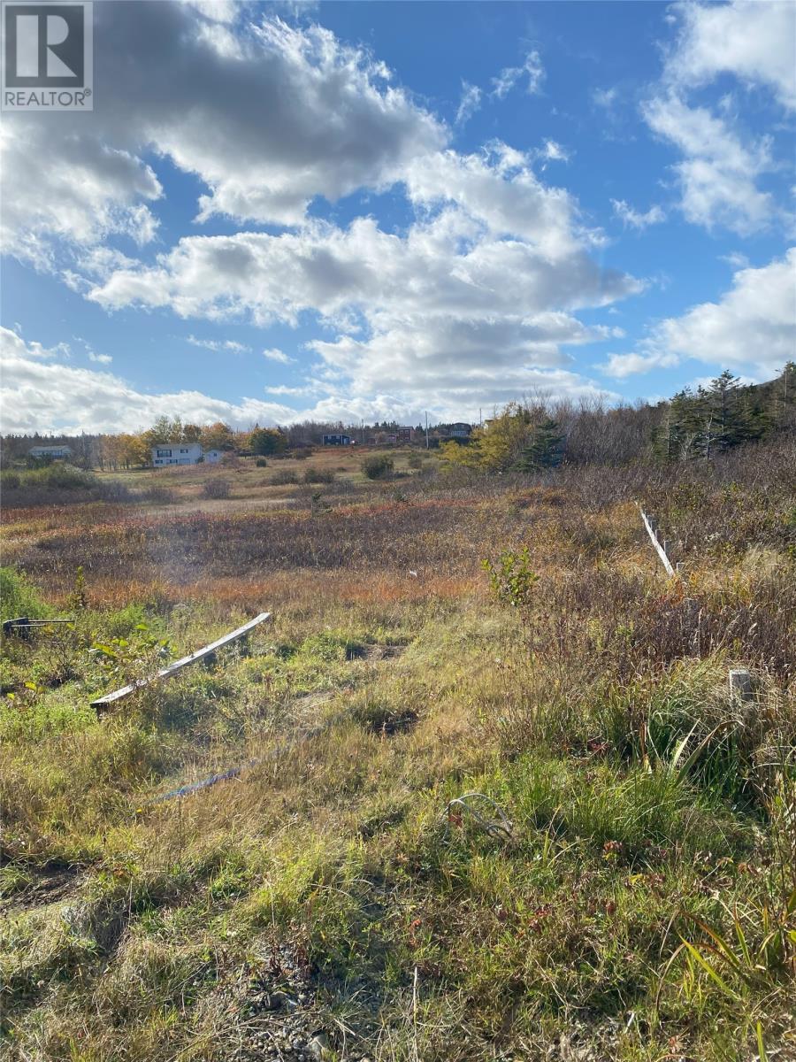 123 Main Street, York Harbour, NL