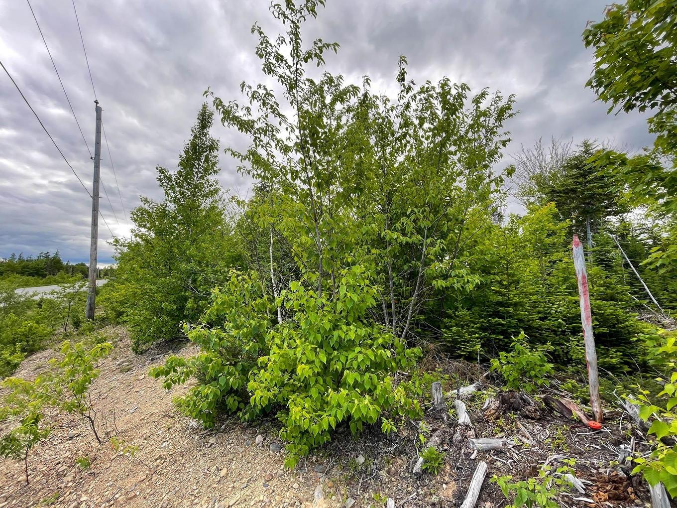 Lot 19 Shieling Drive, Marion Bridge, NS