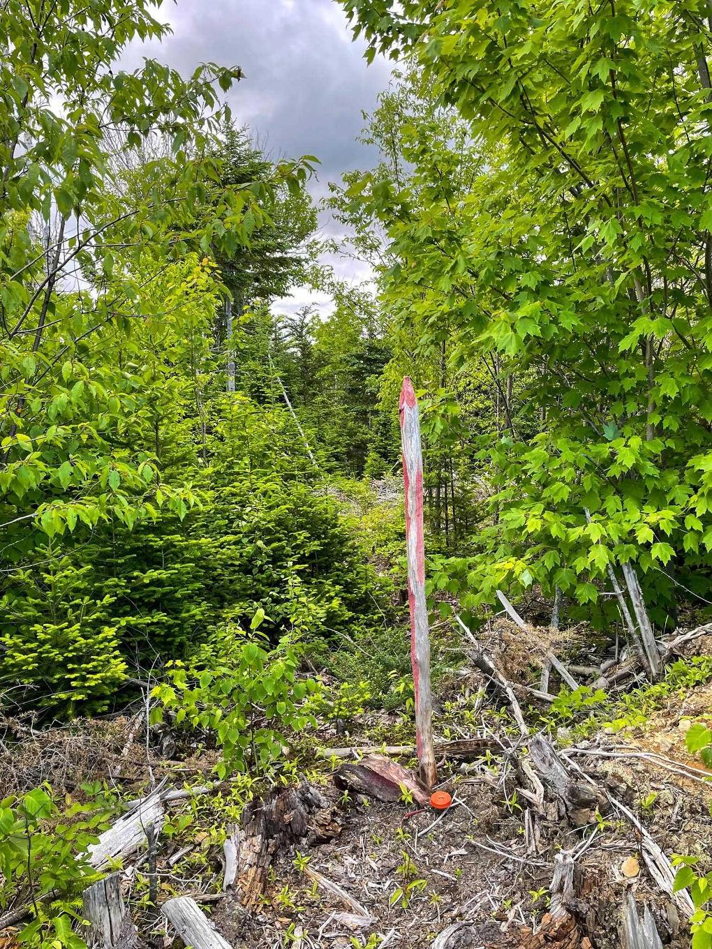 Lot 19 Shieling Drive, Marion Bridge, NS