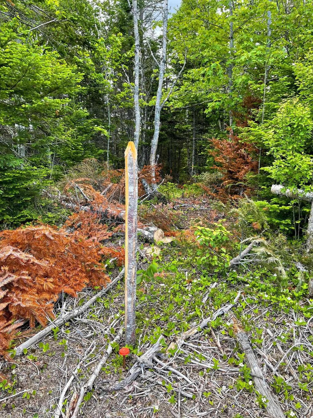 Lot 19 Shieling Drive, Marion Bridge, NS