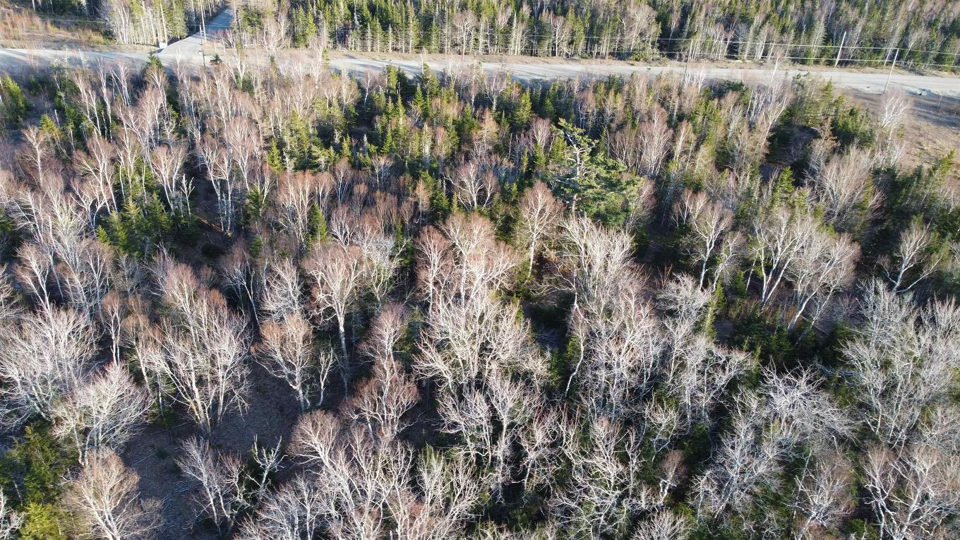 Lot 19 Shieling Drive, Marion Bridge, NS
