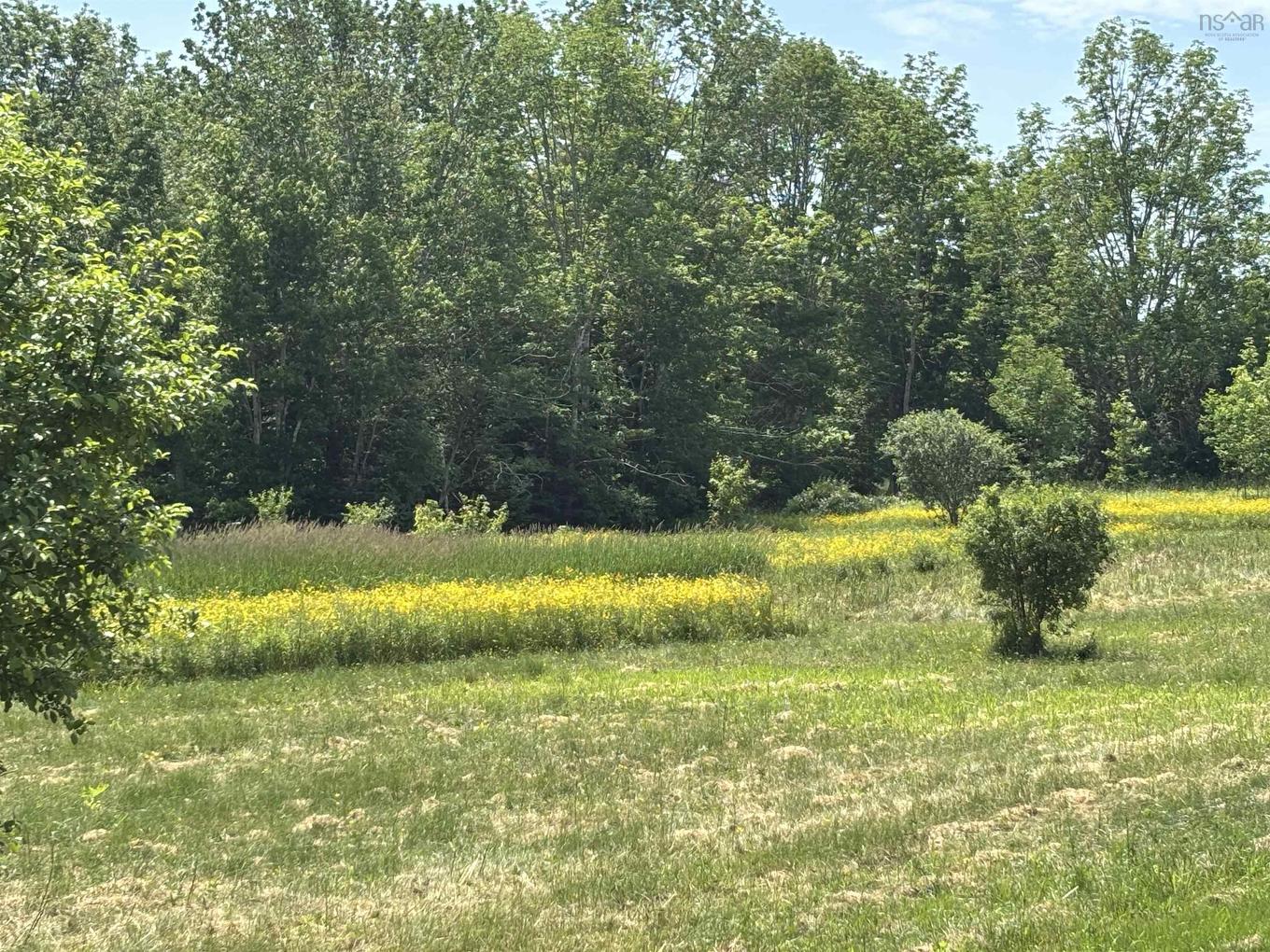 Lot 20-2B Highway 376, Lyons Brook, NS