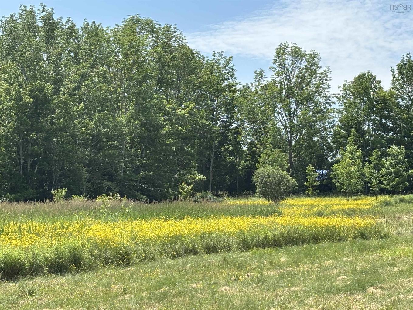 Lot 20-2B Highway 376, Lyons Brook, NS