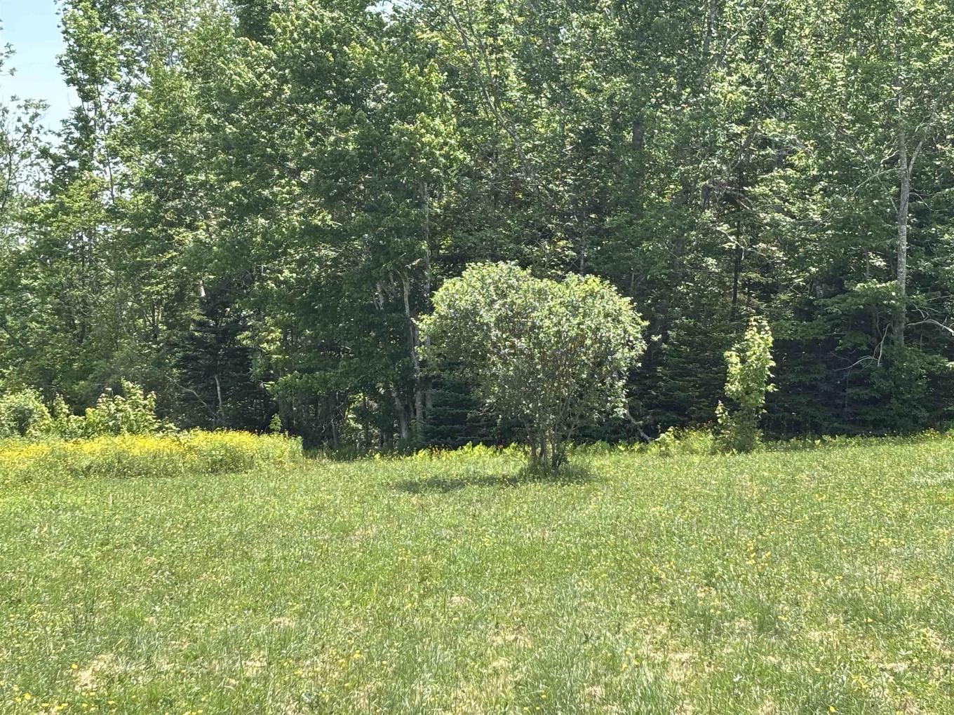 Lot 20-2B Highway 376, Lyons Brook, NS