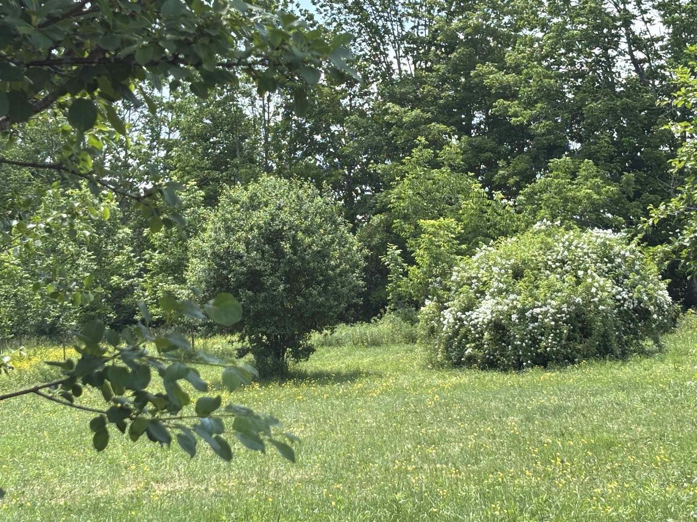 Lot 20-2B Highway 376, Lyons Brook, NS