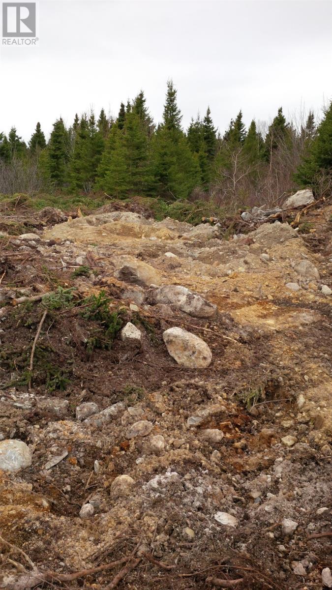 326-329 Main Street N, Glovertown, NL