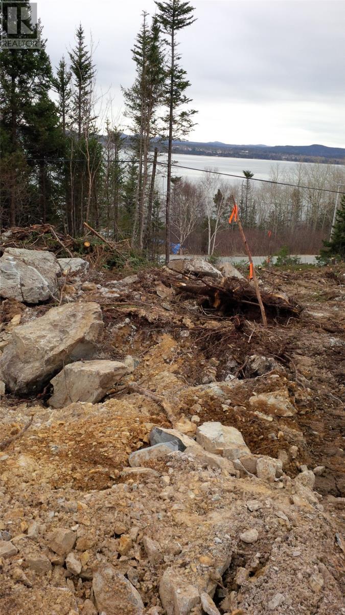 326-329 Main Street N, Glovertown, NL