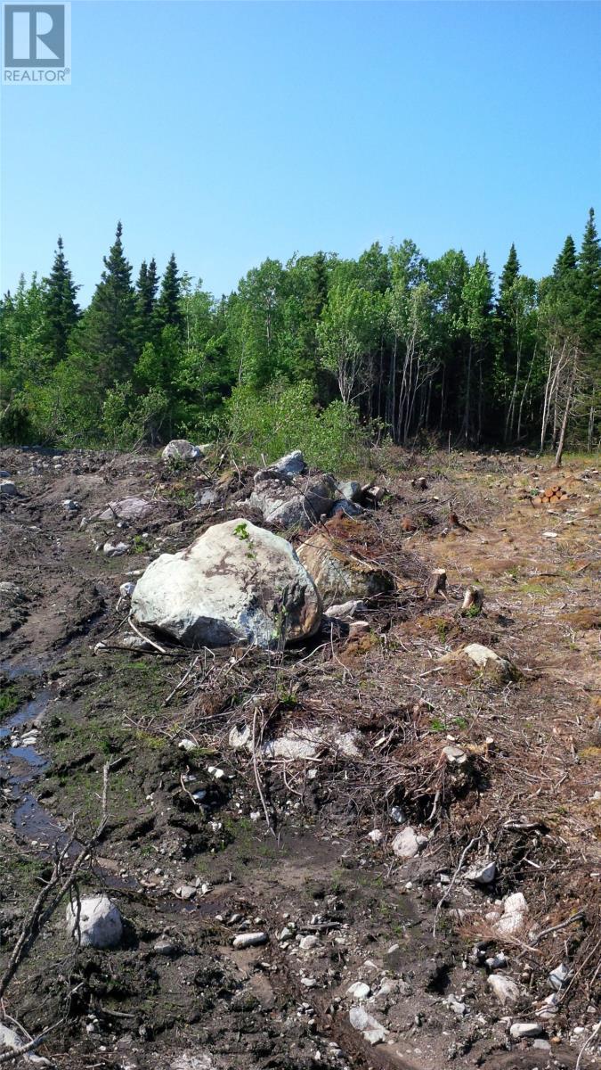 326-329 Main Street N, Glovertown, NL