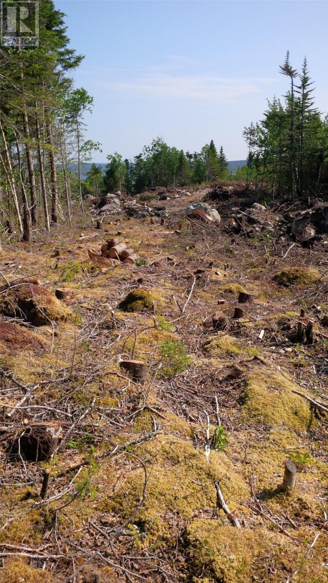 326-329 Main Street N, Glovertown, NL