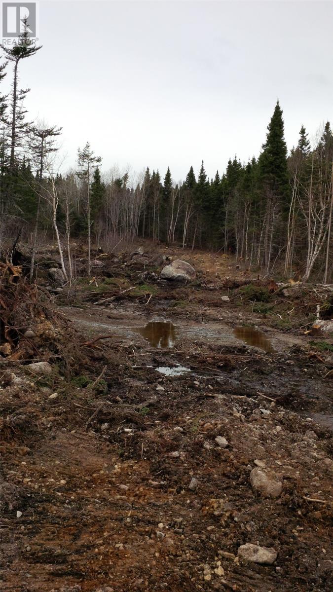 326-329 Main Street N, Glovertown, NL