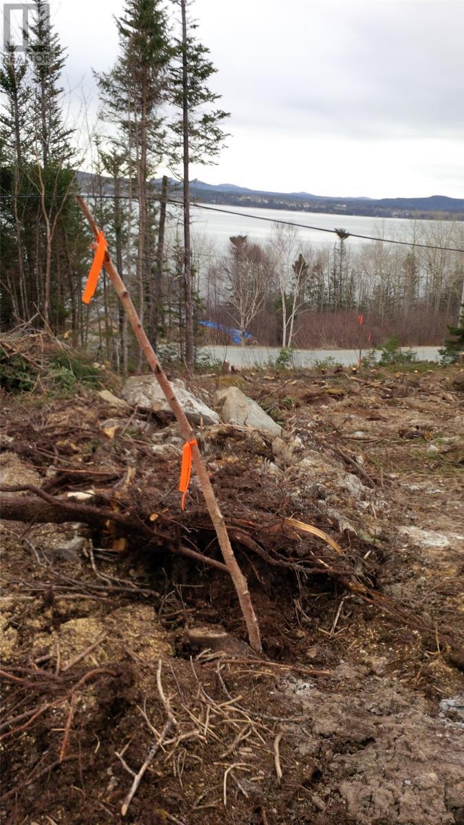 326-329 Main Street N, Glovertown, NL