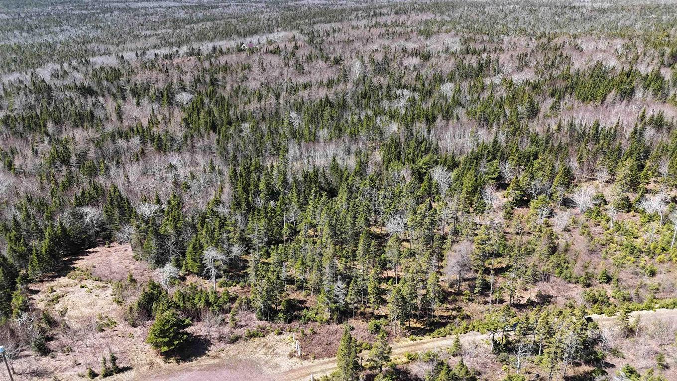 Lot 13 Hill Street, French Cove, NS