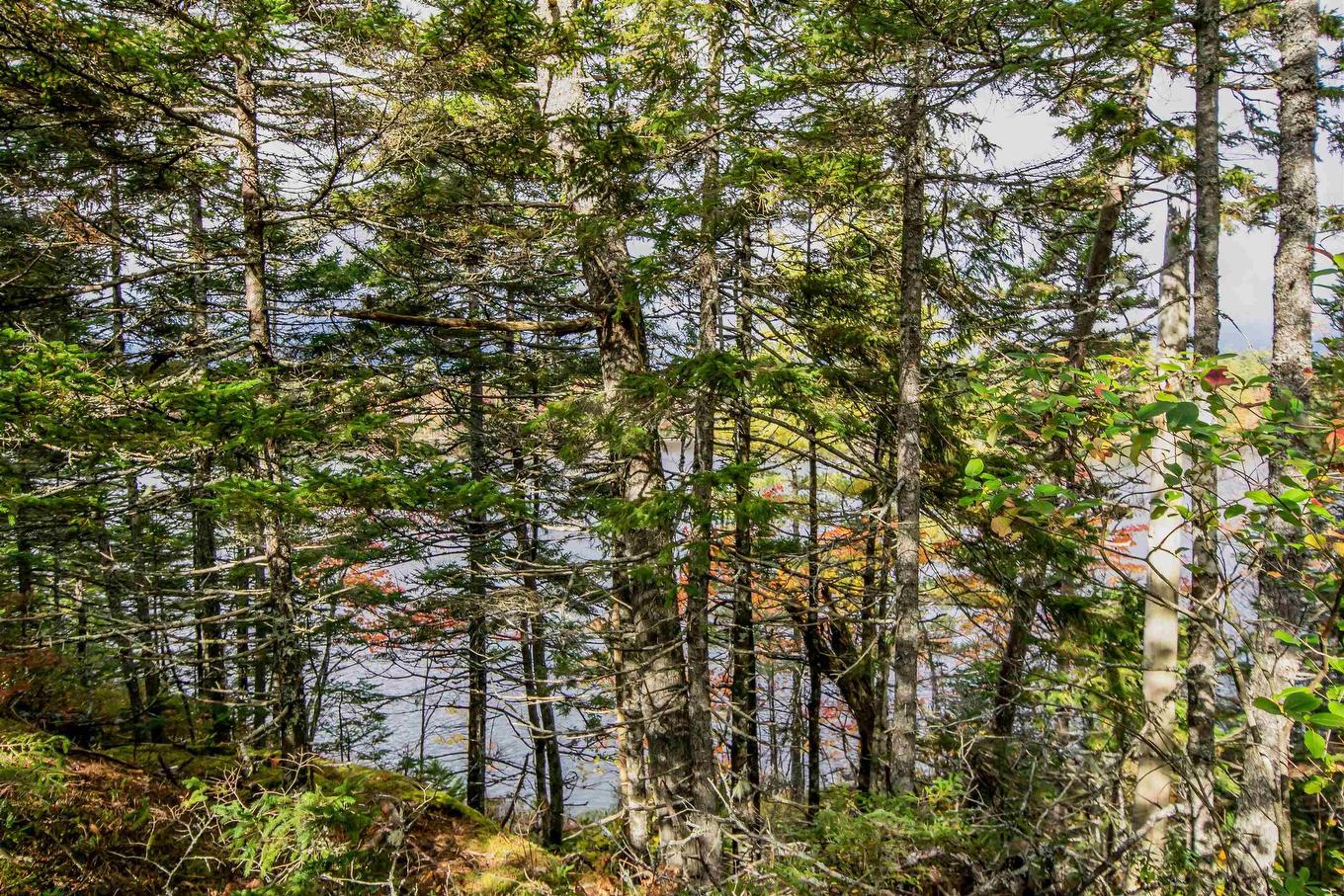 Lot 44 Meek Arm Trail, East Uniacke, NS
