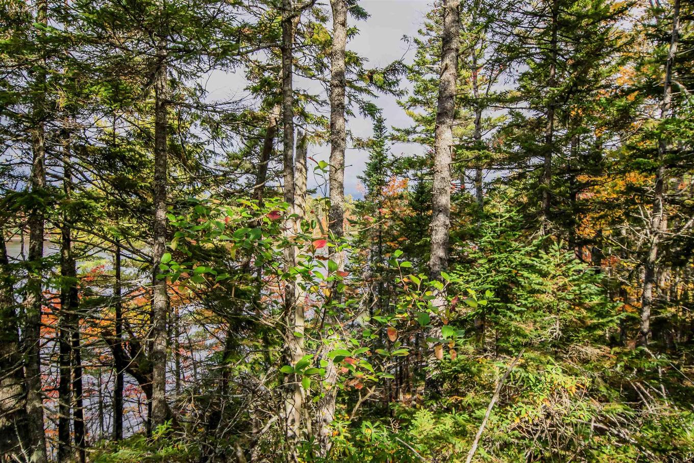 Lot 44 Meek Arm Trail, East Uniacke, NS
