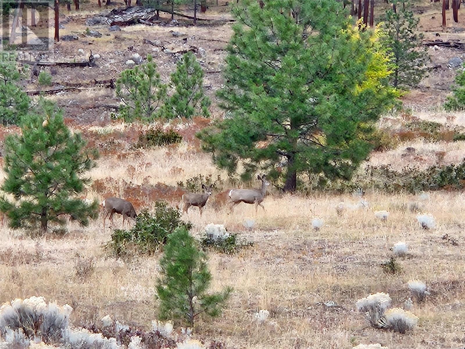 A Reservoir Road Lot# Lot A, Penticton, BC