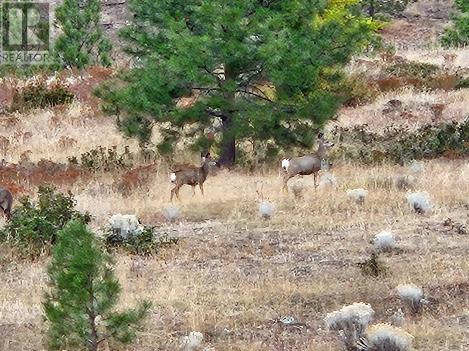 A Reservoir Road Lot# Lot A, Penticton, BC