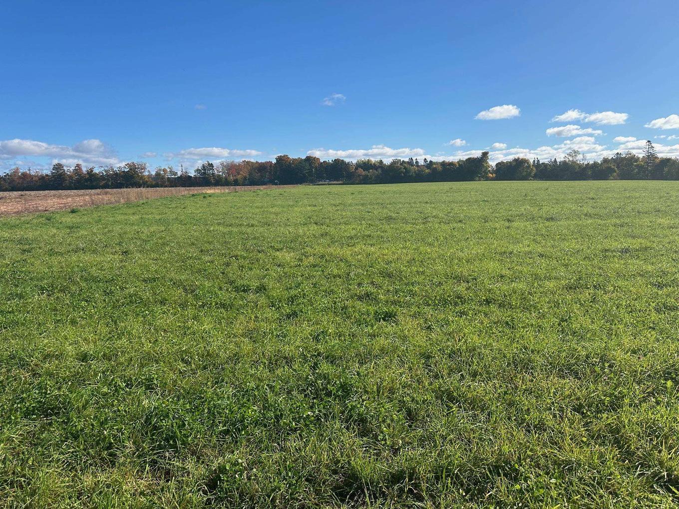 Fairway Avenue, Summerside, PE