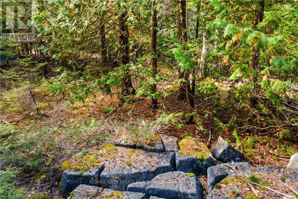 Pt Lt 4 Nicholas Street, Northern Bruce Peninsula, ON