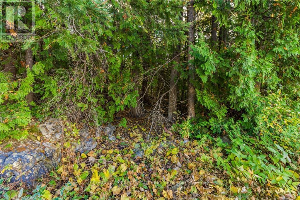 Pt Lt 4 Nicholas Street, Northern Bruce Peninsula, ON