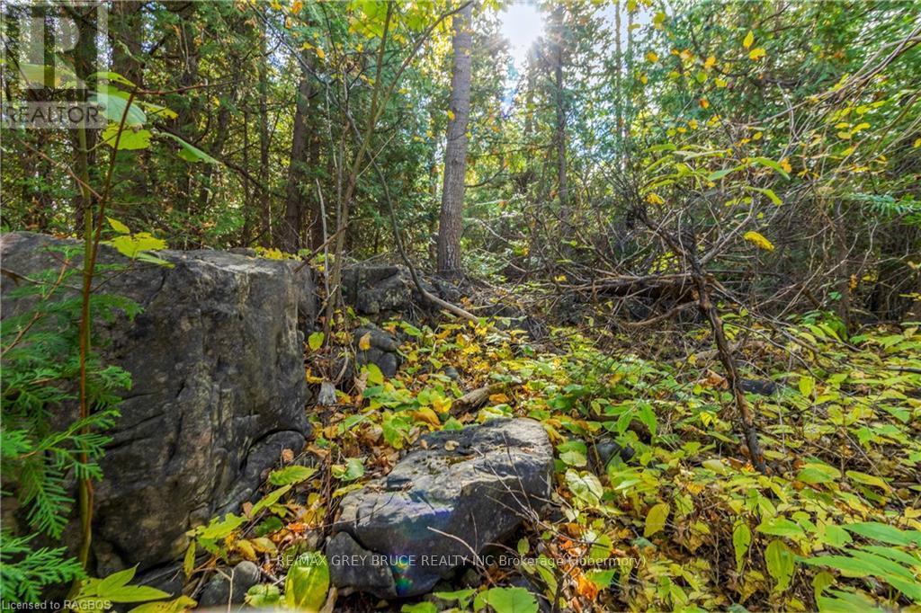 Pt Lt 4 Nicholas Street, Northern Bruce Peninsula, ON