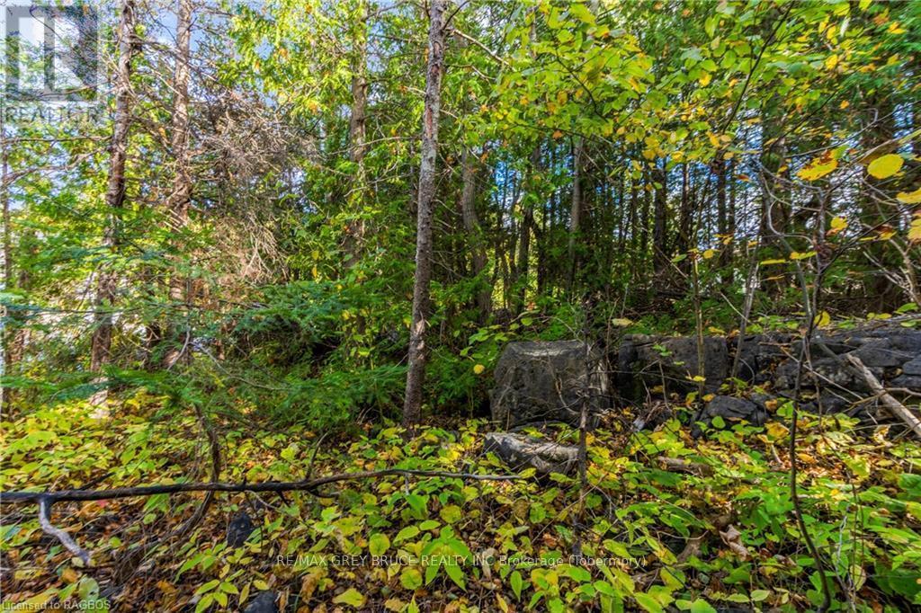 Pt Lt 4 Nicholas Street, Northern Bruce Peninsula, ON