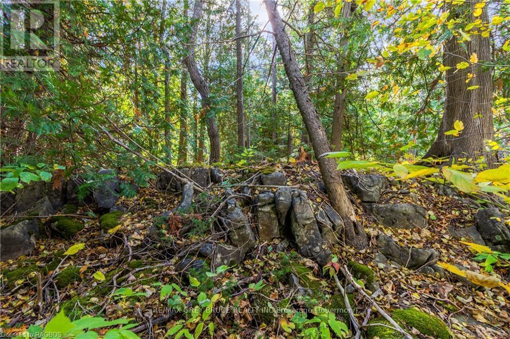 Pt Lt 4 Nicholas Street, Northern Bruce Peninsula, ON