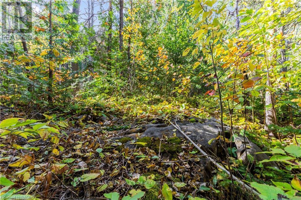 Pt Lt 4 Nicholas Street, Northern Bruce Peninsula, ON