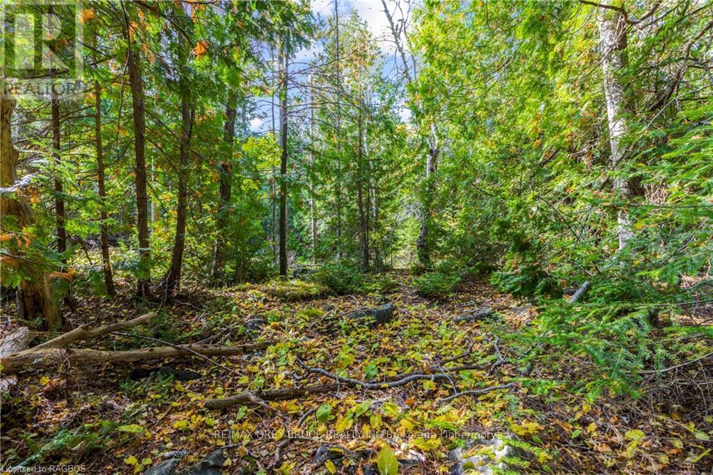 Pt Lt 4 Nicholas Street, Northern Bruce Peninsula, ON