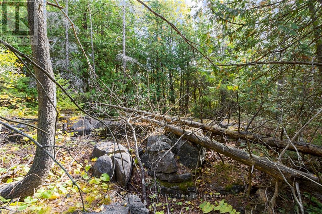 Pt Lt 4 Nicholas Street, Northern Bruce Peninsula, ON