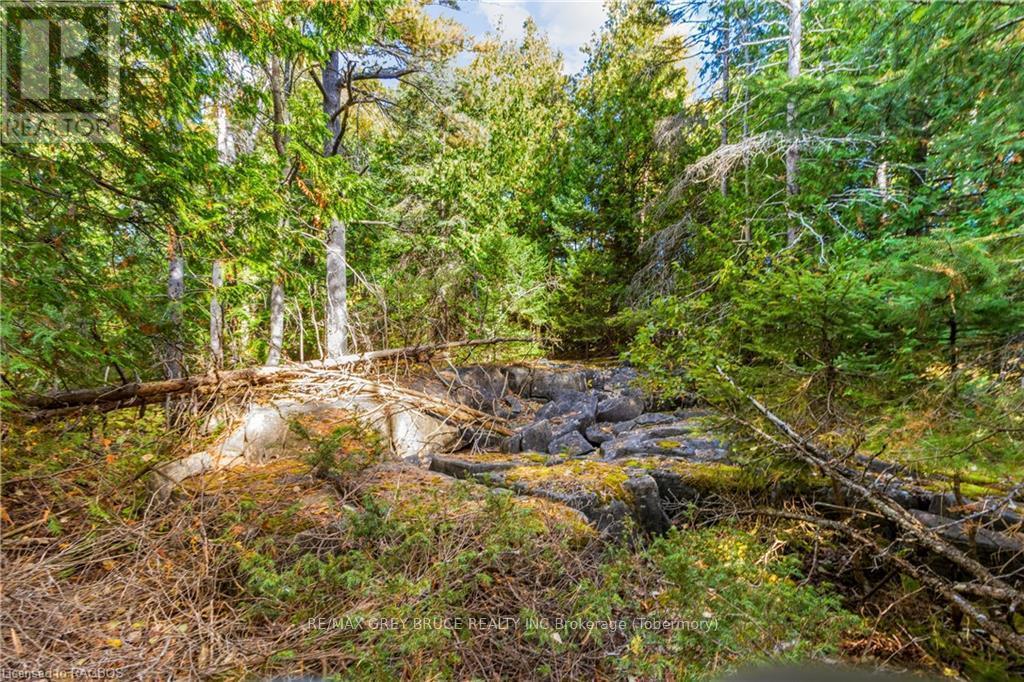 Pt Lt 4 Nicholas Street, Northern Bruce Peninsula, ON