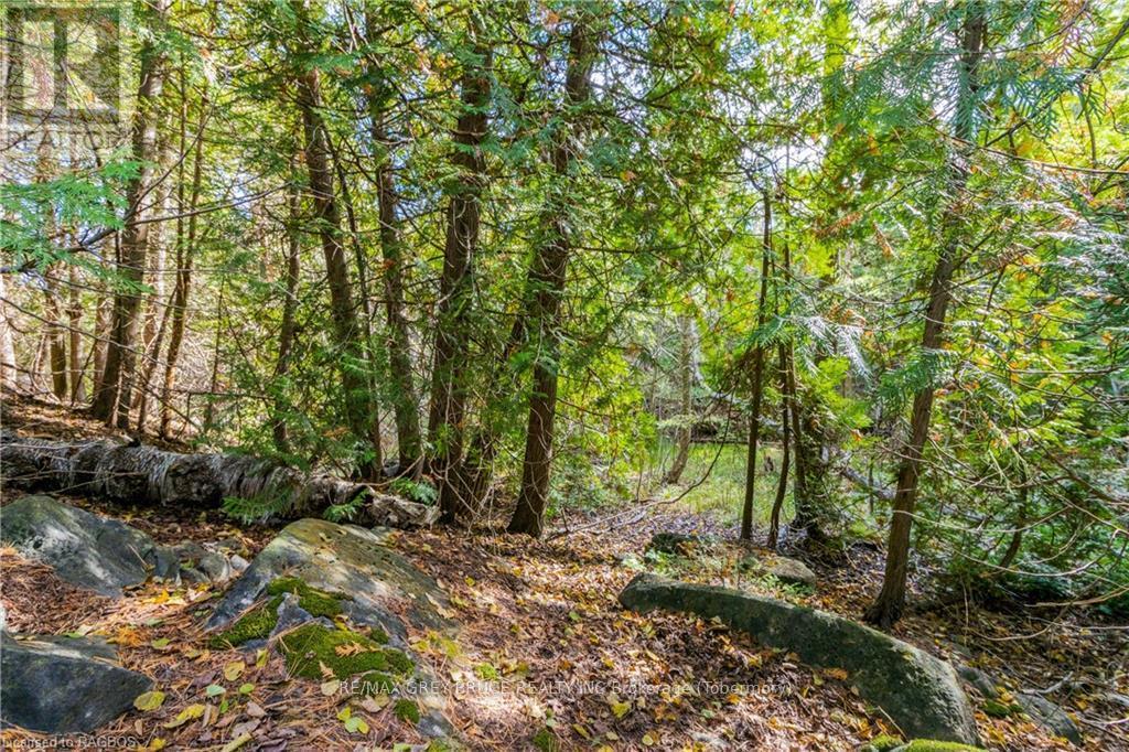 Pt Lt 4 Nicholas Street, Northern Bruce Peninsula, ON