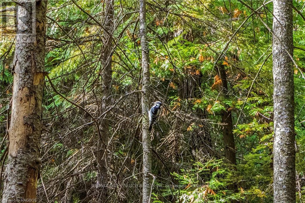 Pt Lt 4 Nicholas Street, Northern Bruce Peninsula, ON