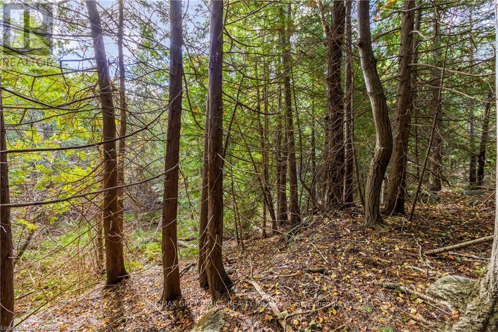 Pt Lt 4 Nicholas Street, Northern Bruce Peninsula, ON