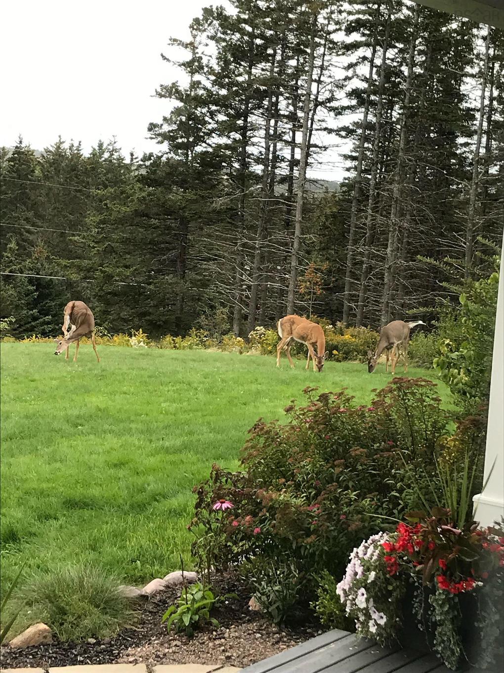 893 Two Islands Road, Parrsboro, NS