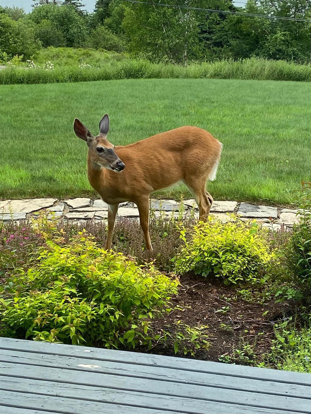 893 Two Islands Road, Parrsboro, NS