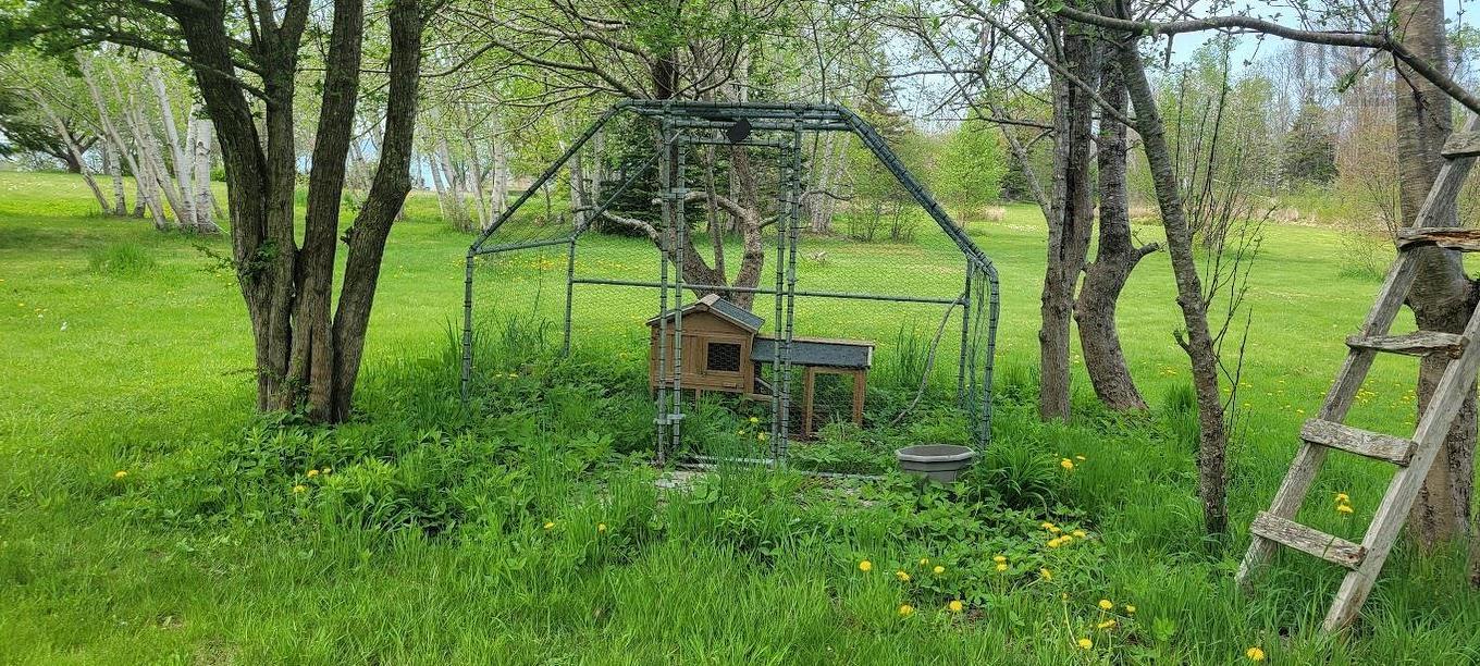 109 Twin Cove Road, Clementsport, NS