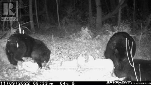 Pt Lt 7 Con 6 Brock, Brock, ON