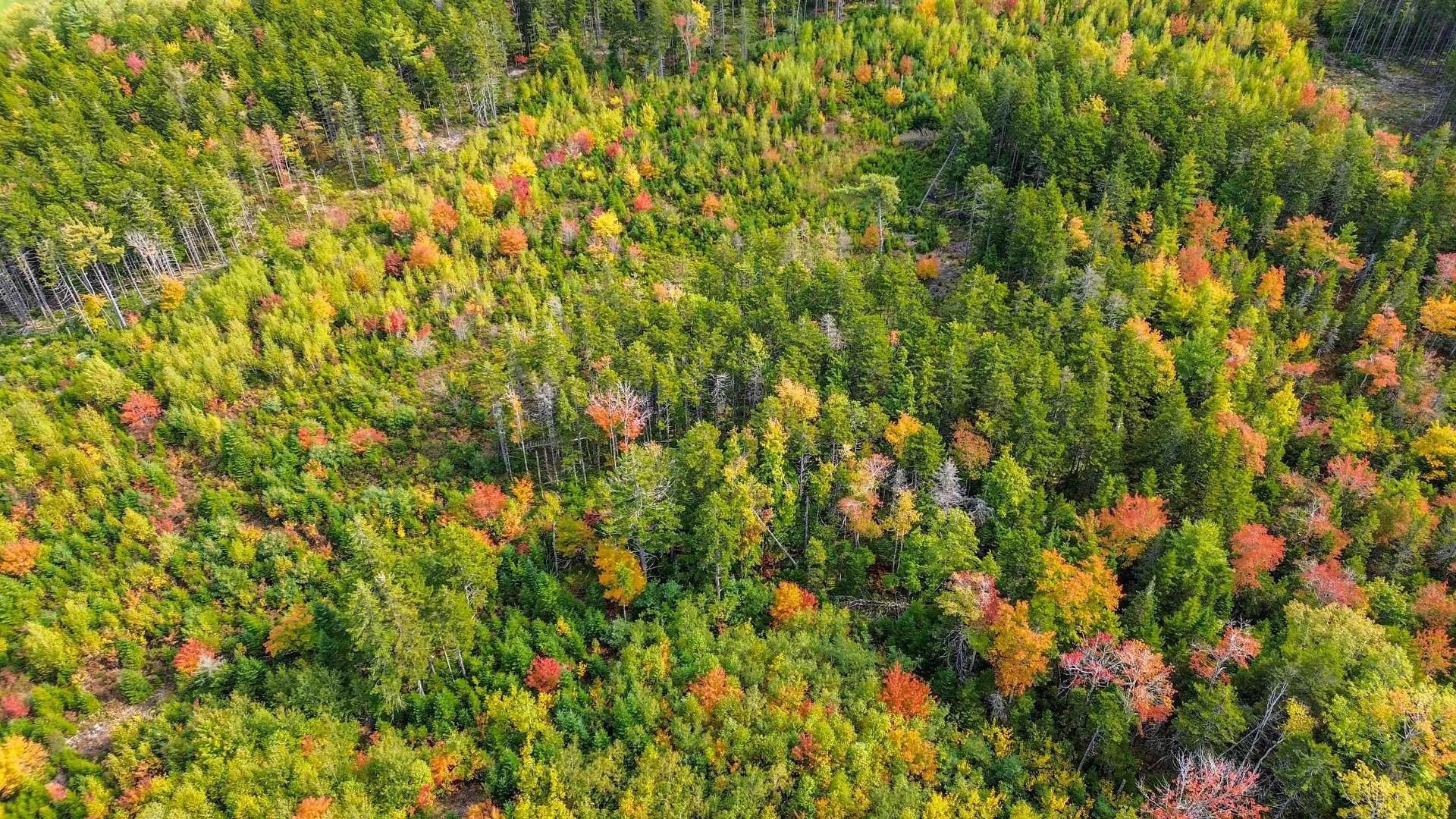 Lot Mc-3 Wilfred Hebb Road, Leminster, NS