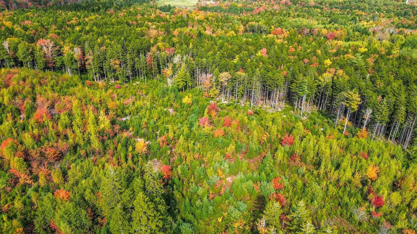 Lot Mc-3 Wilfred Hebb Road, Leminster, NS