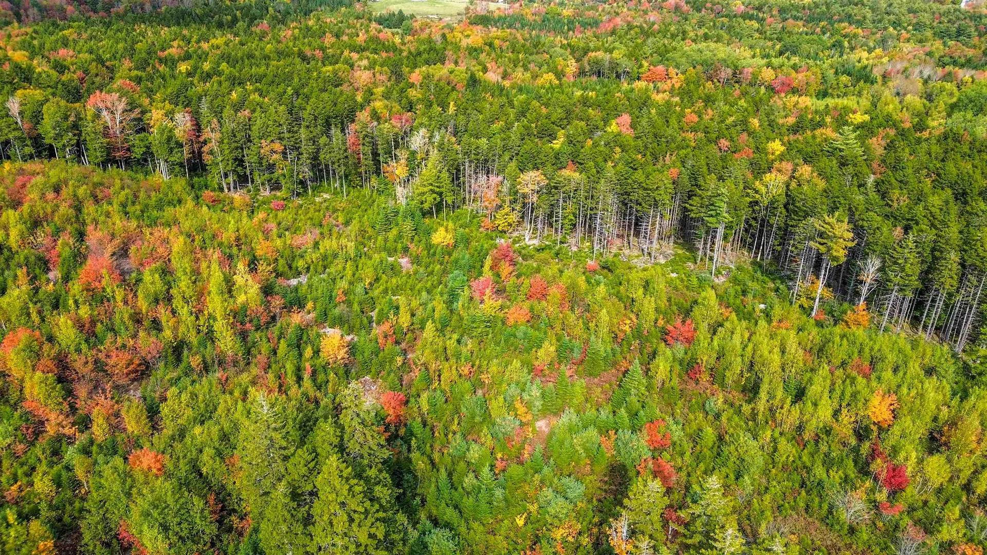 Lot Mc-3 Wilfred Hebb Road, Leminster, NS