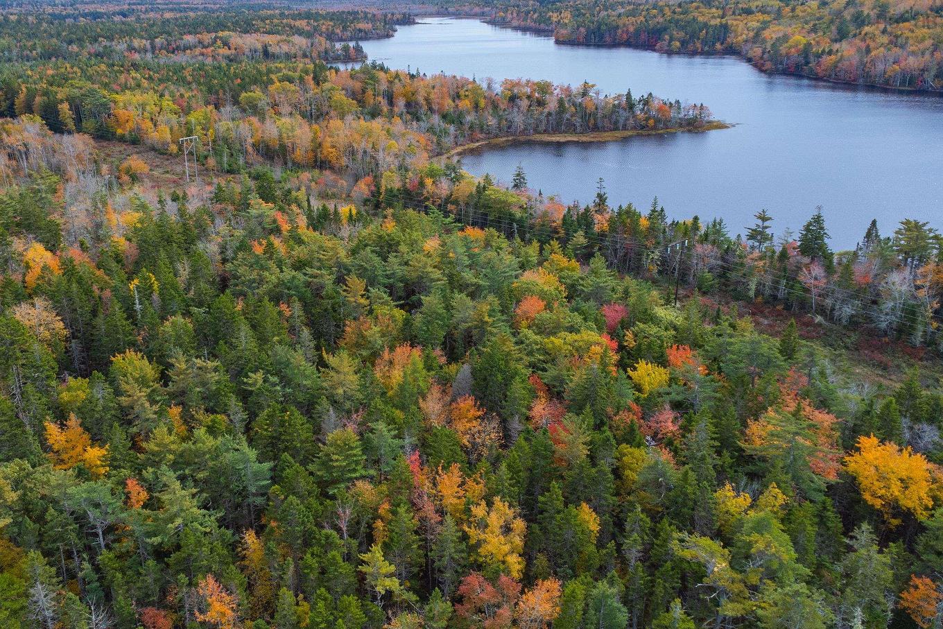 John Murray Road, Belleville South, NS