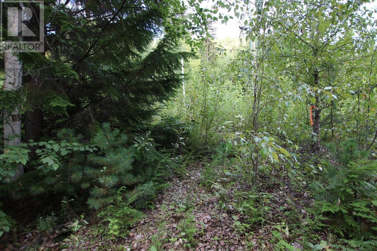 5621 Highway 23, Nakusp, BC