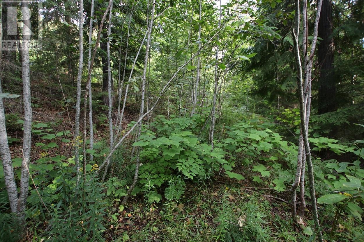 5621 Highway 23, Nakusp, BC