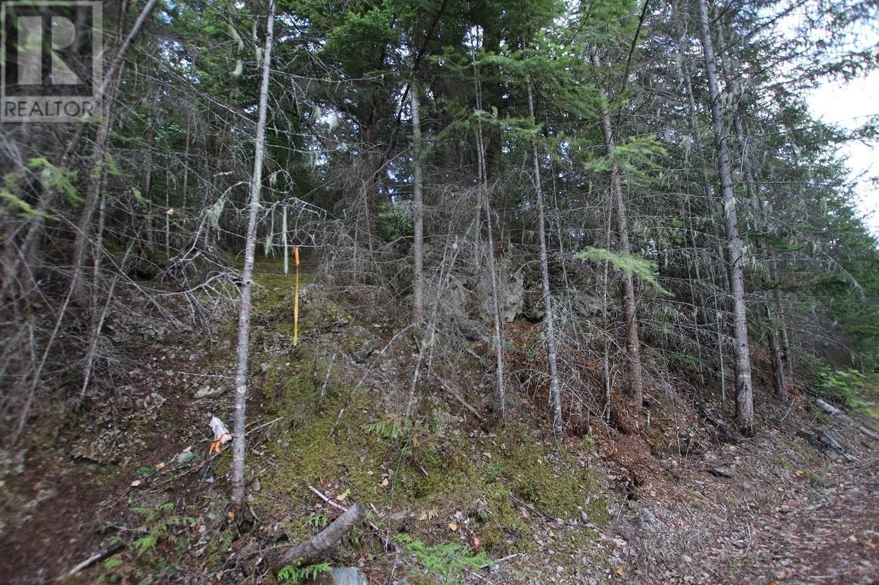 5621 Highway 23, Nakusp, BC