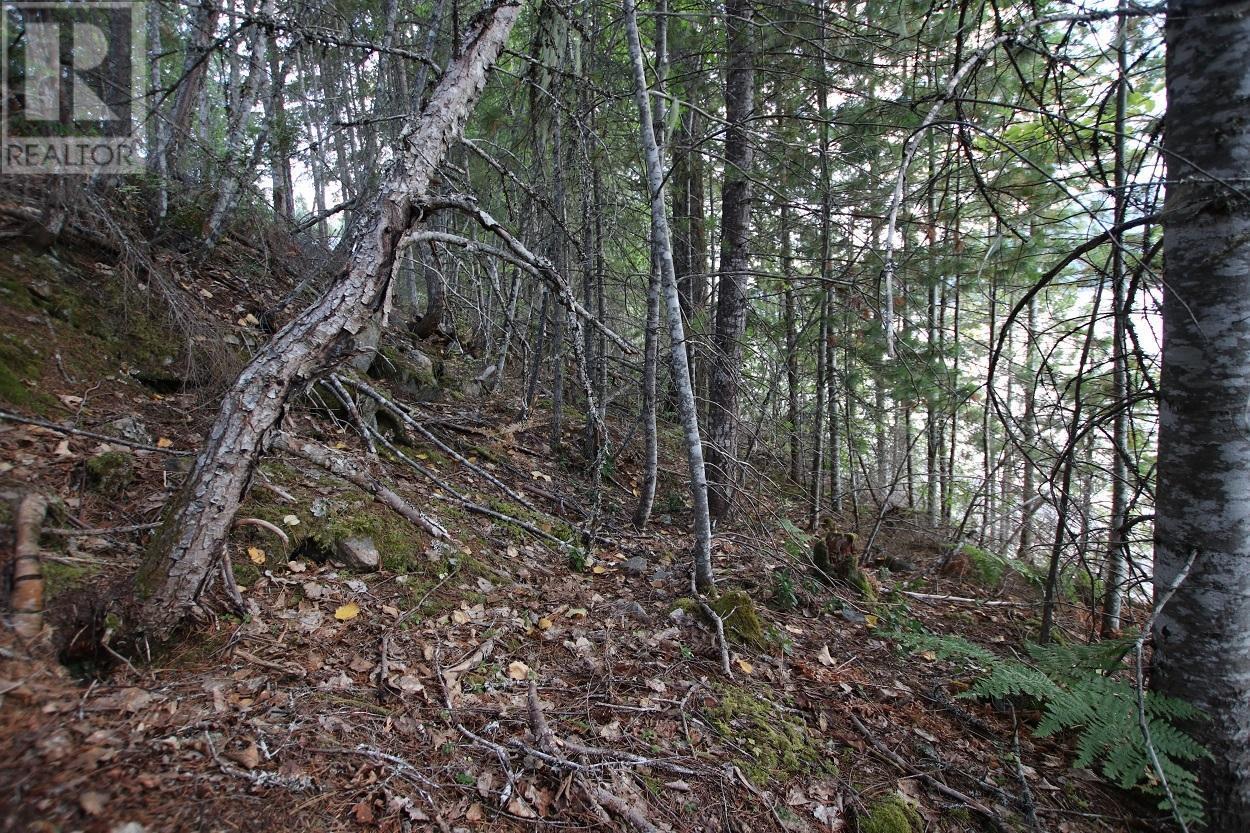 5621 Highway 23, Nakusp, BC