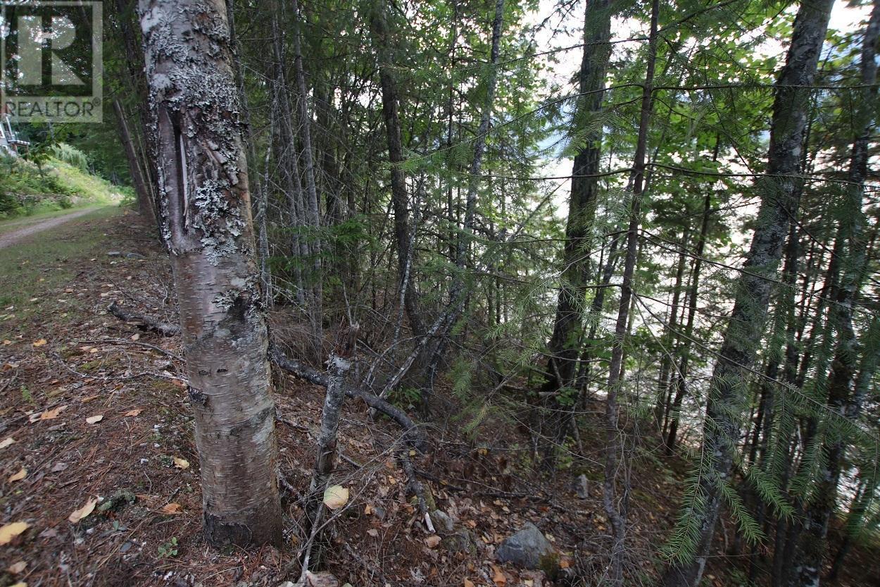 5621 Highway 23, Nakusp, BC