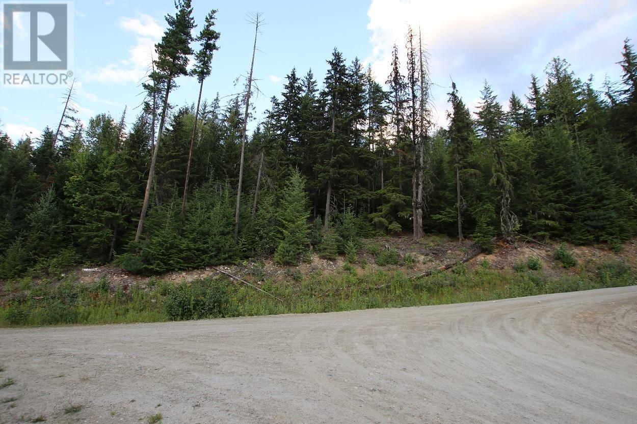 5621 Highway 23, Nakusp, BC